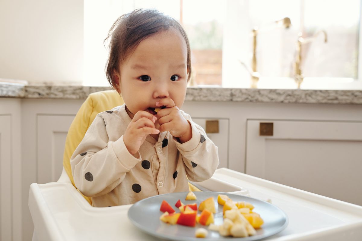 Easy Toddler Finger Foods for Busy Days Out